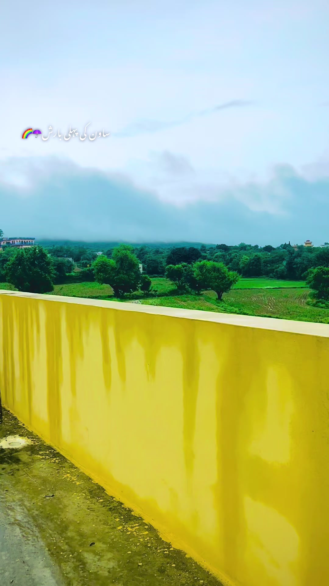 @Faنi Raجa⚡ 🇵🇰