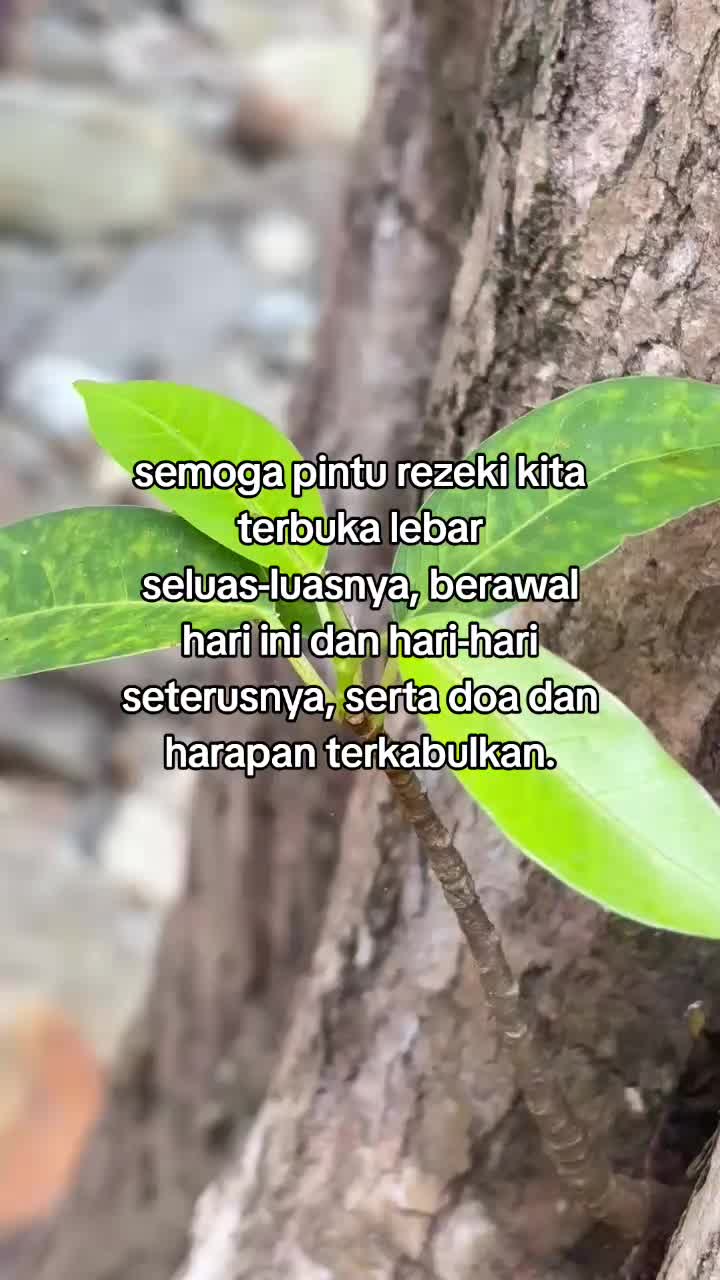 @๐๐ค๐ฅ๐ ๐๐๐ฃ๐๐๐ฃโ