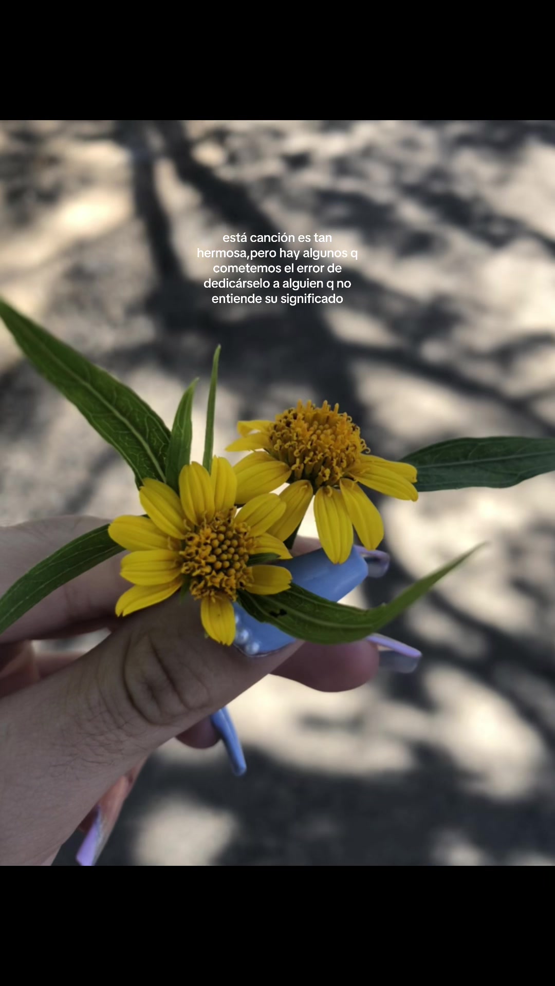 @🦋