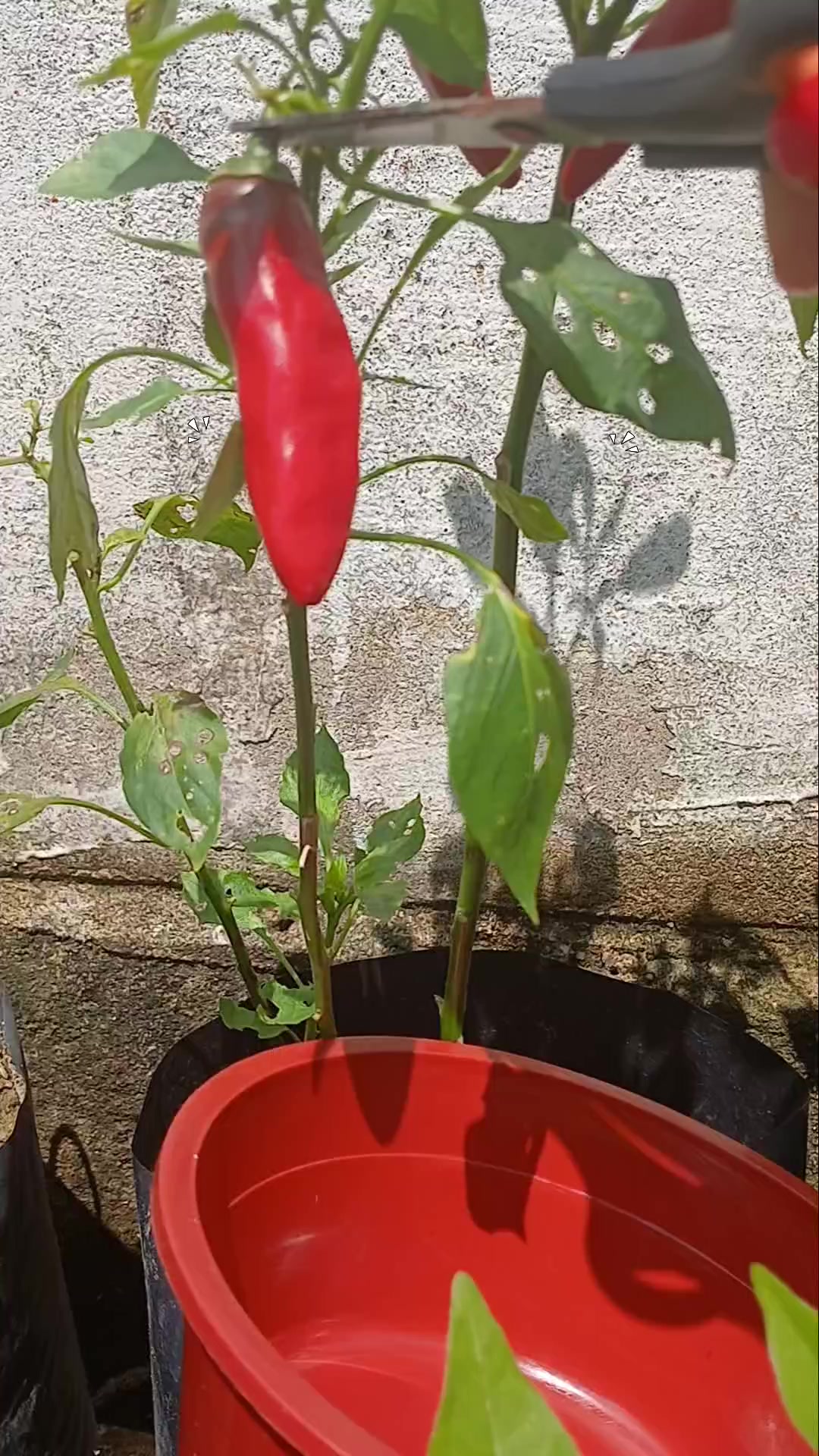 @unyiiillll