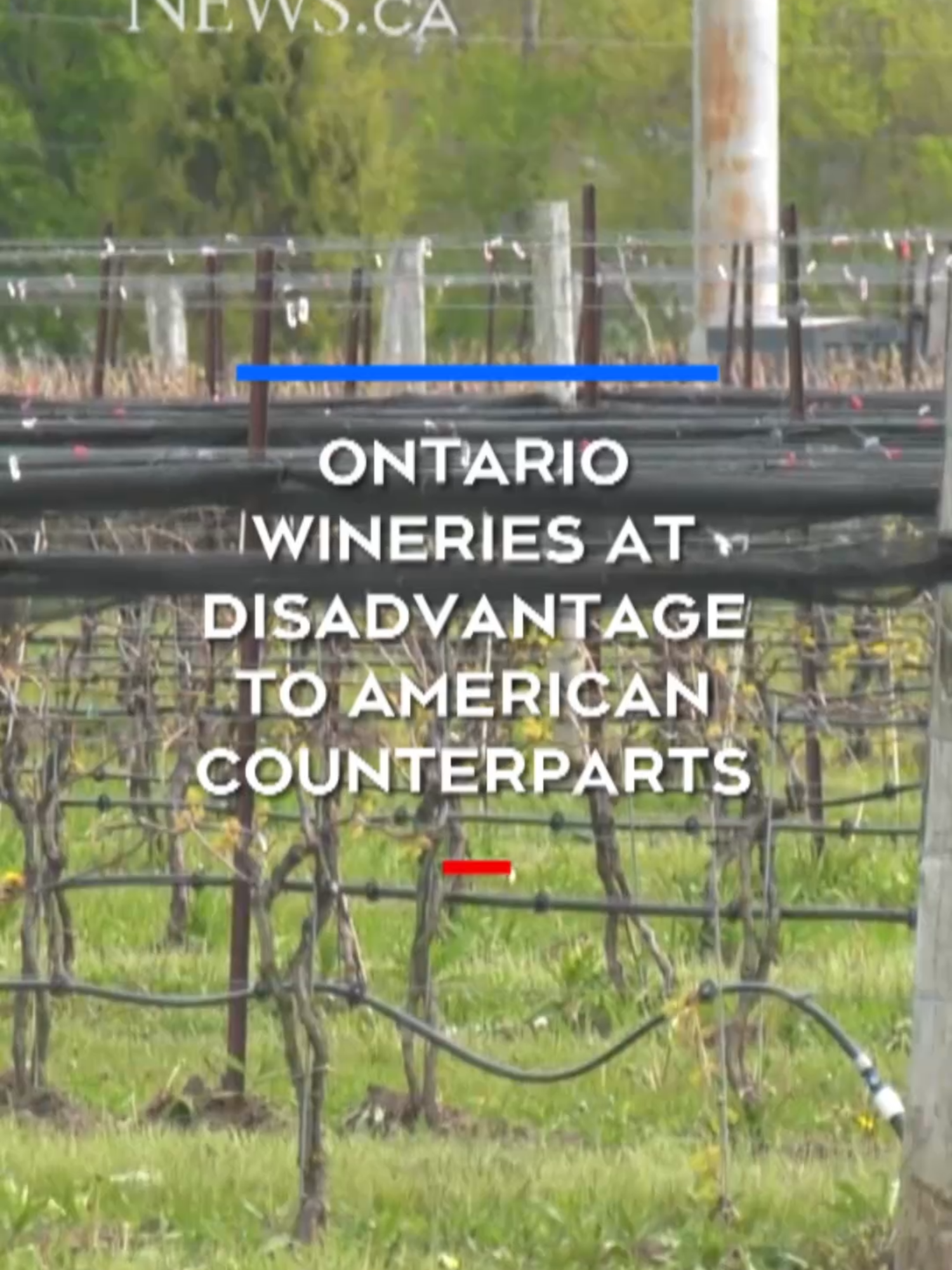 @CTV News Windsor