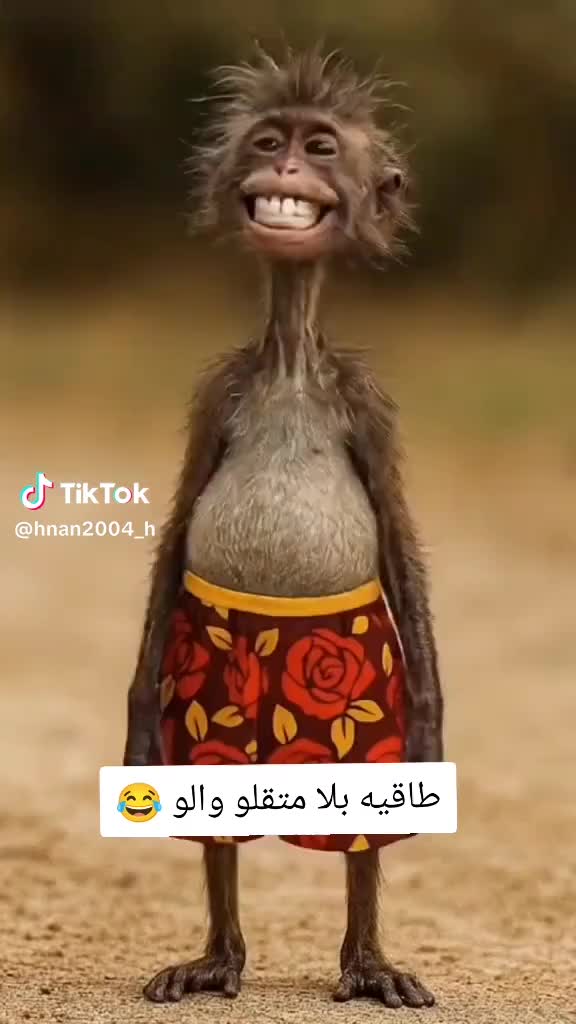 @Jggh Hhhh