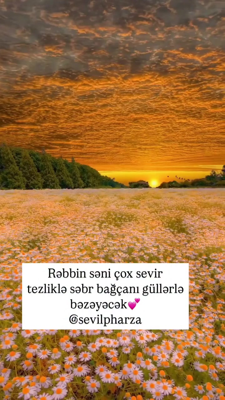 @sevilpharza