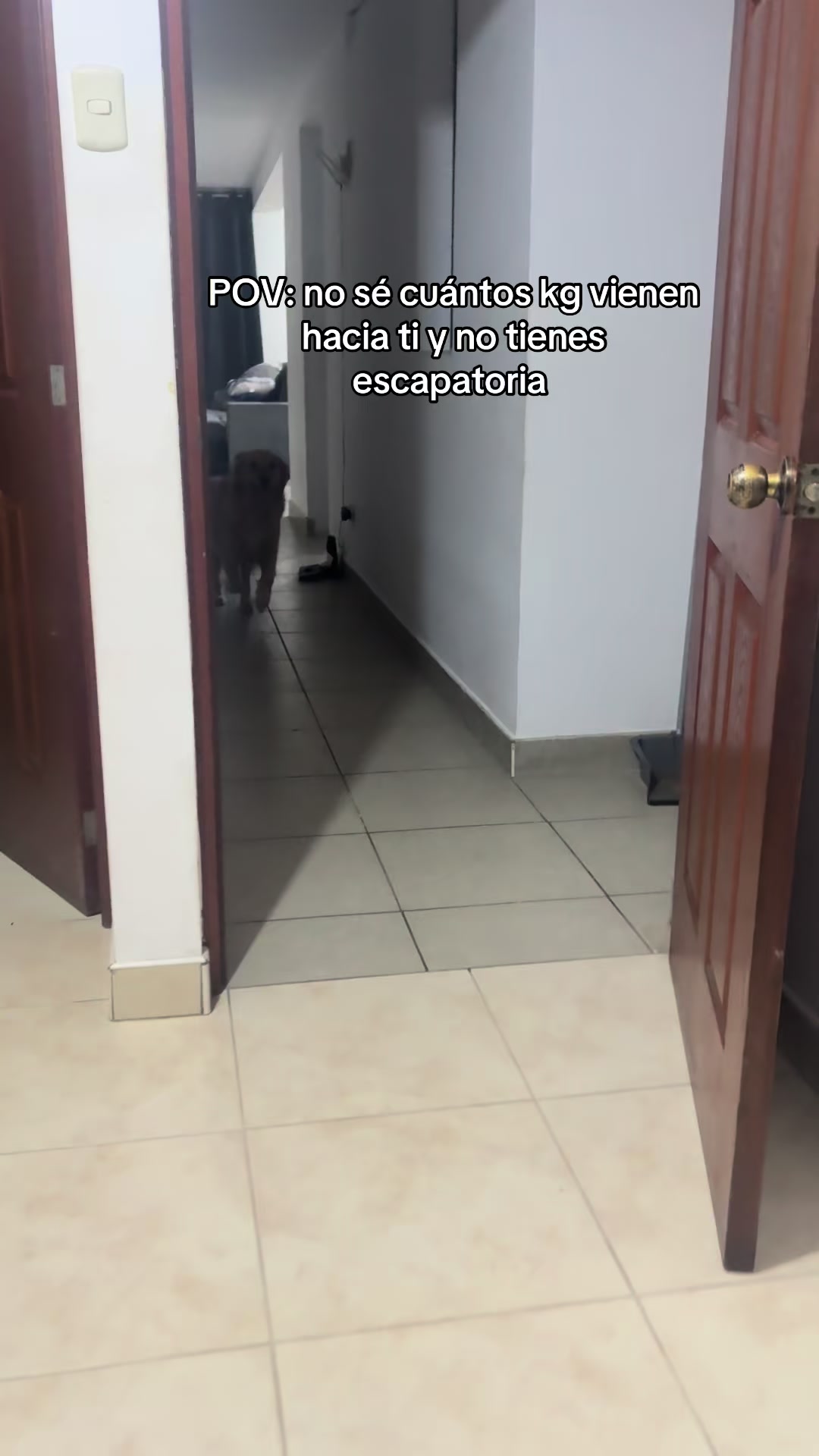 @𝐕𝐢𝐜𝐤𝐲 ᴴᵒᵗ
