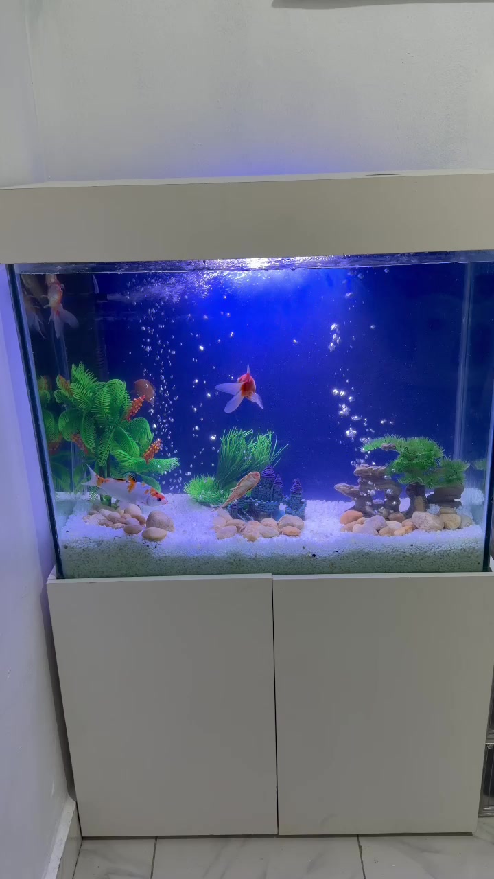 @fishtanks4u_