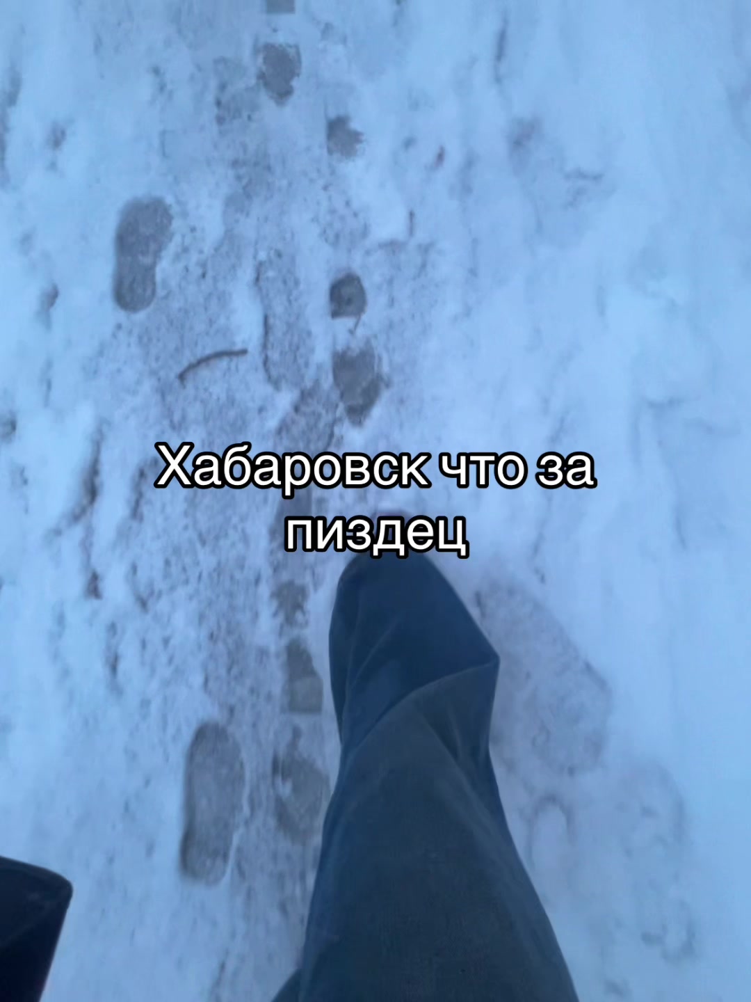 @ТикТокарь
