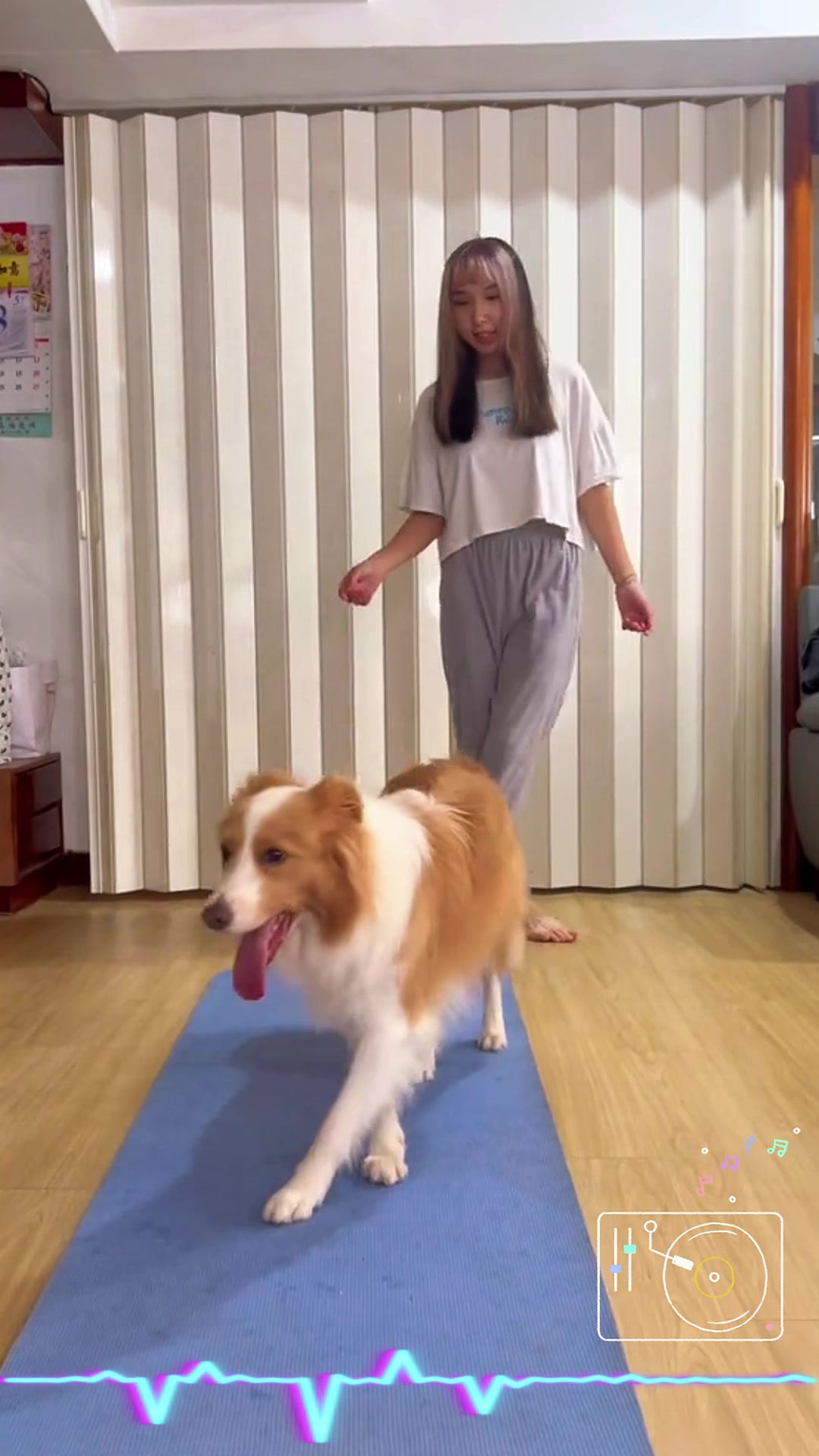 @dogandcattk2