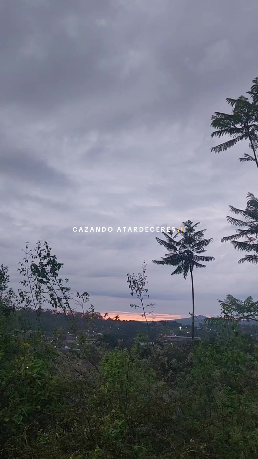 @✓ Cazando Atardecer_ 🌄☀️❤️🔥