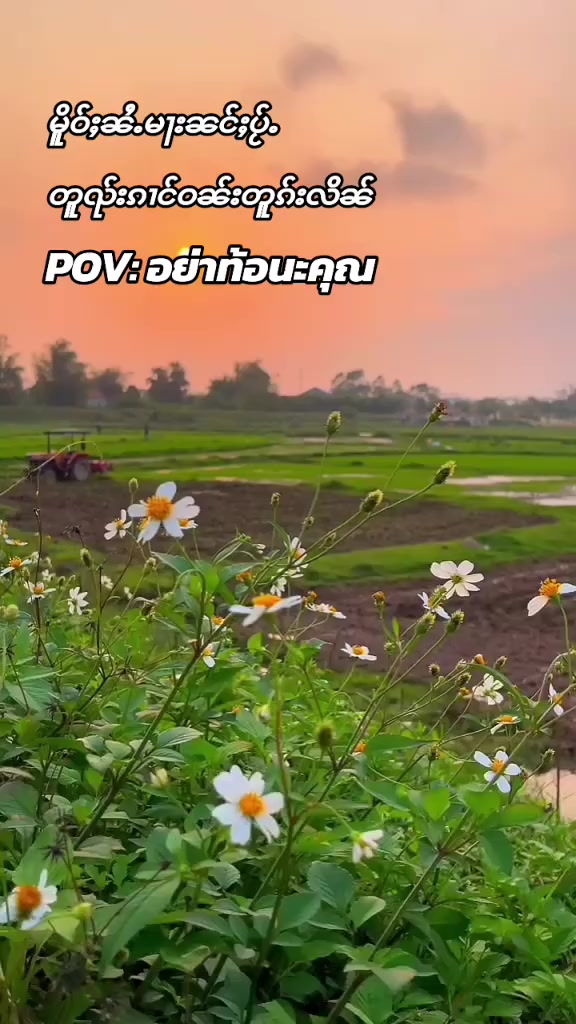 @(Htwe Nu) 🍃ထူၺ်းၼူႉ🍃