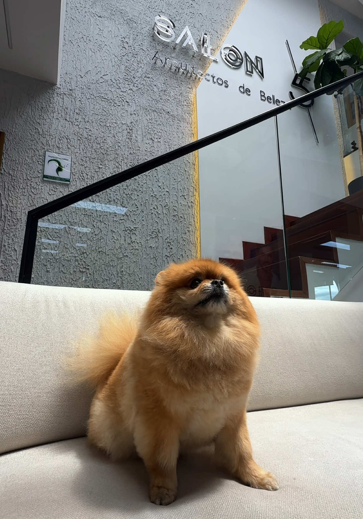 @Salón 5 Peluquería