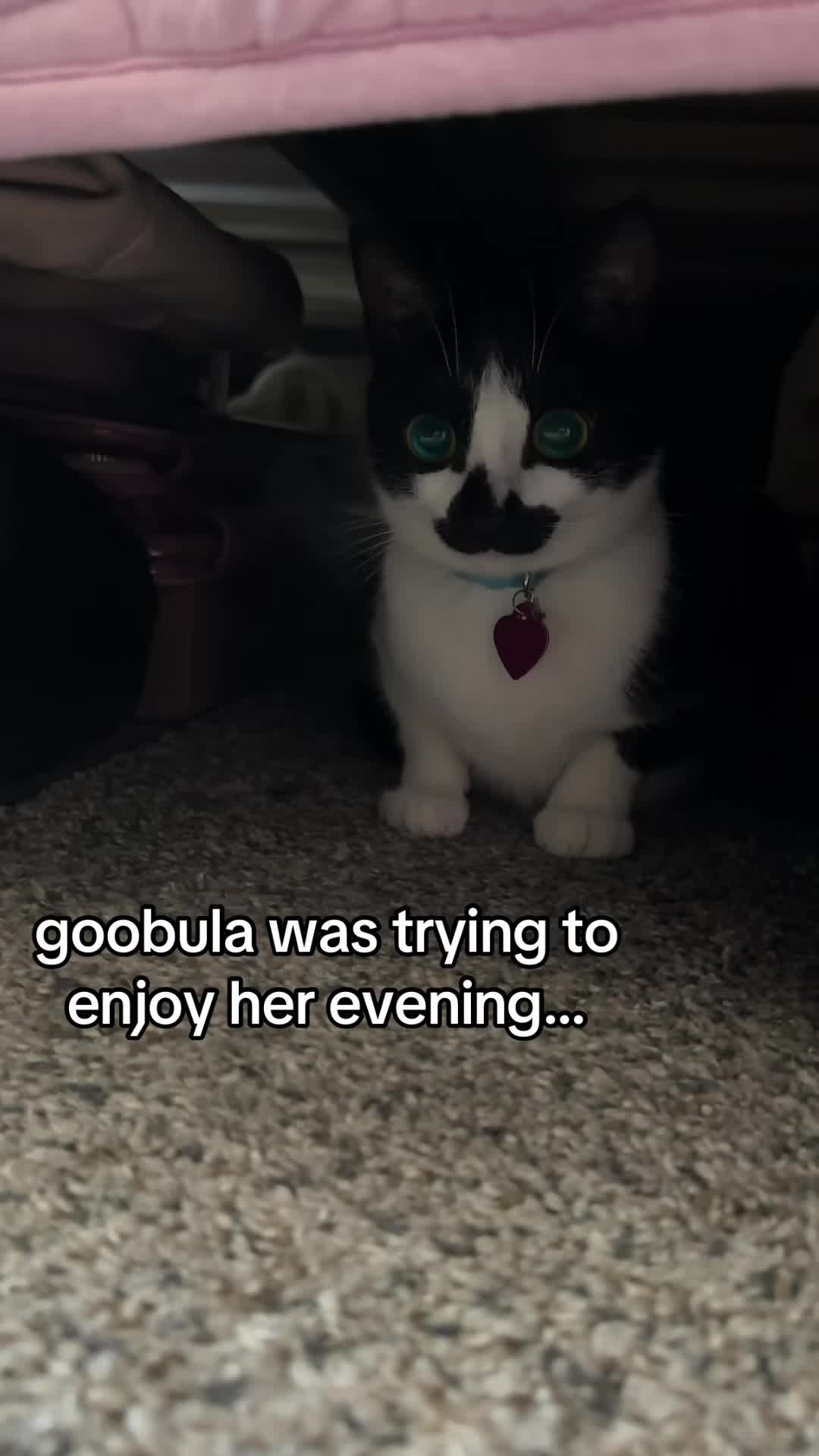@countess goobula 🖤🩸
