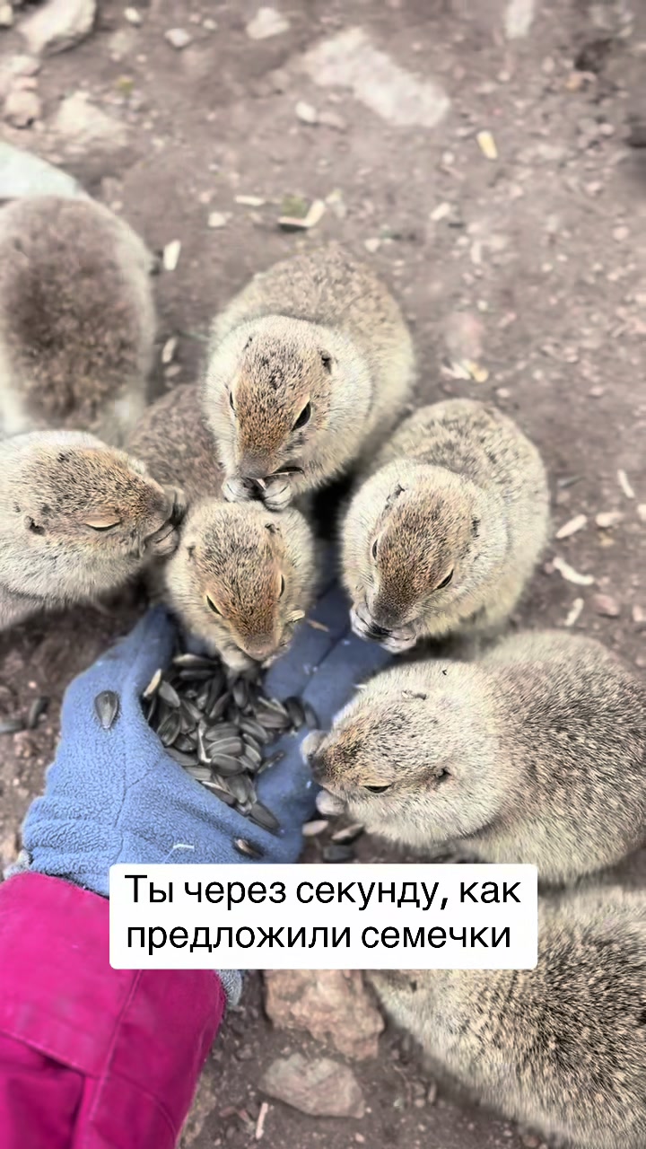 @Ангелина Путилина