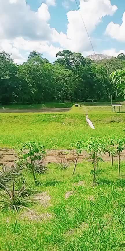 @acua agro
