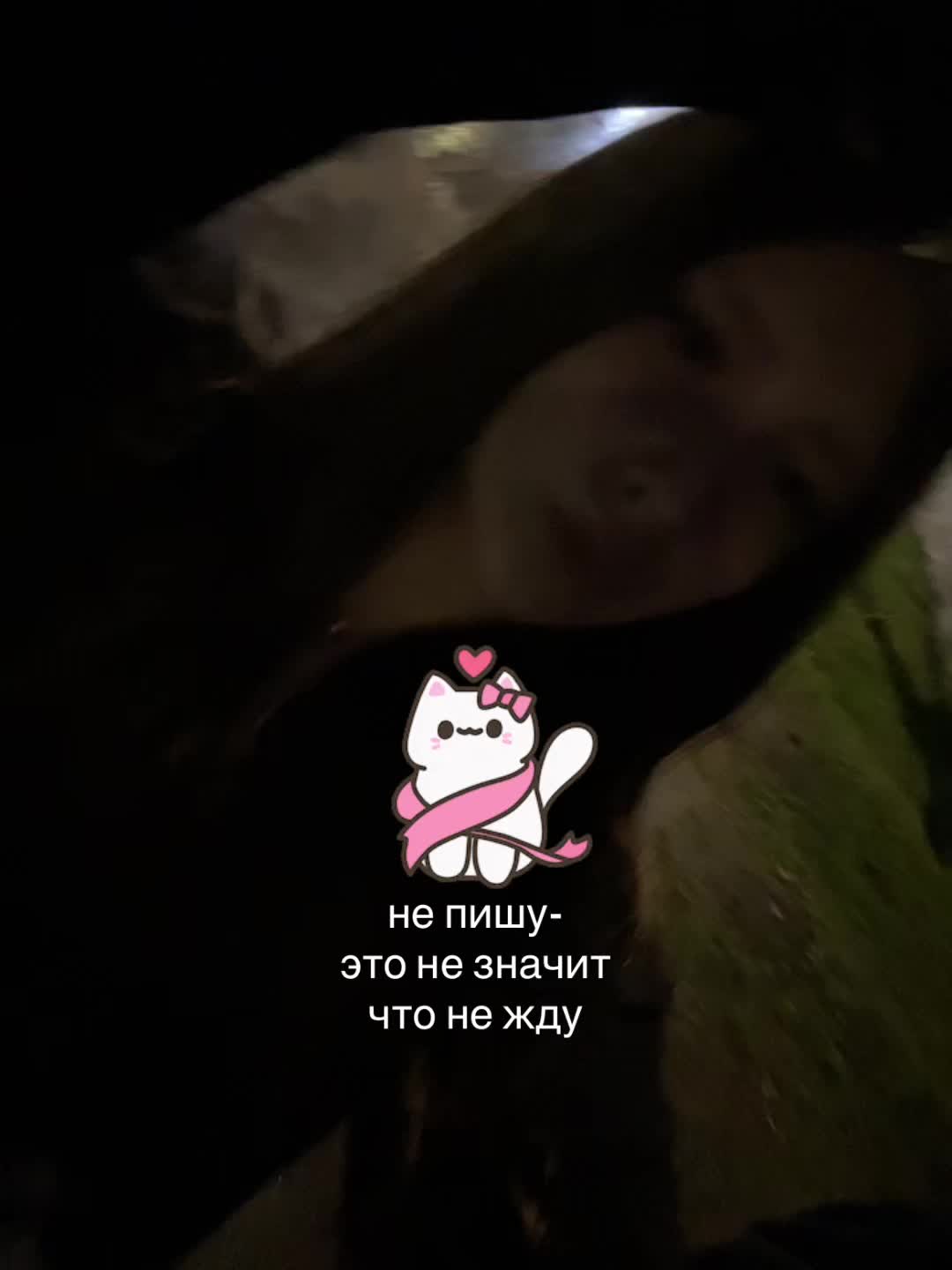 @nemerovaxx