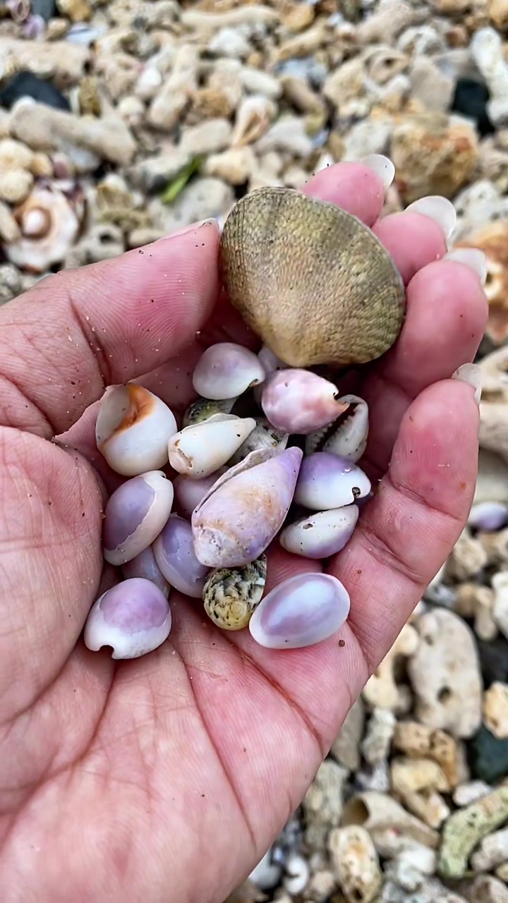 @Seaglass Goddess ღ