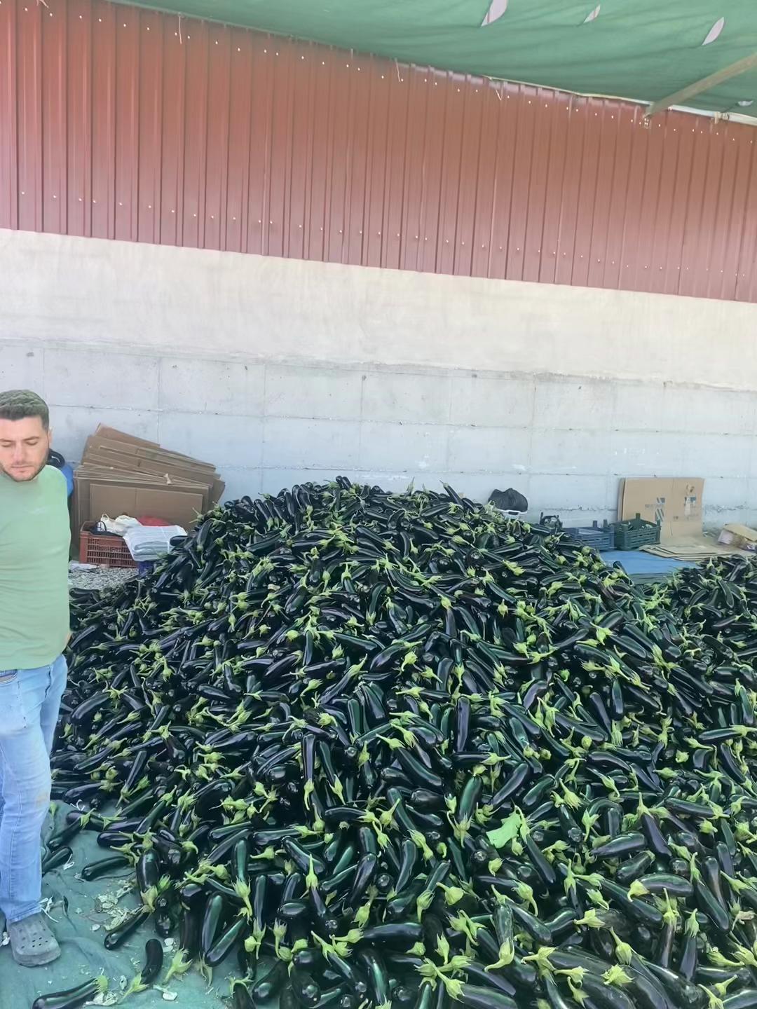 @Hüseyin Burak