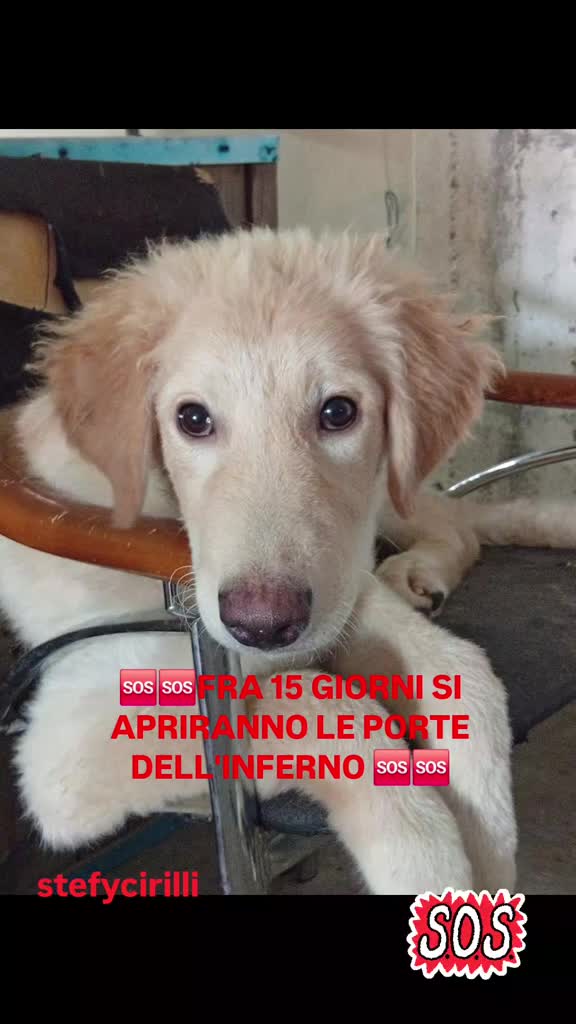 @Stefy Cirilli