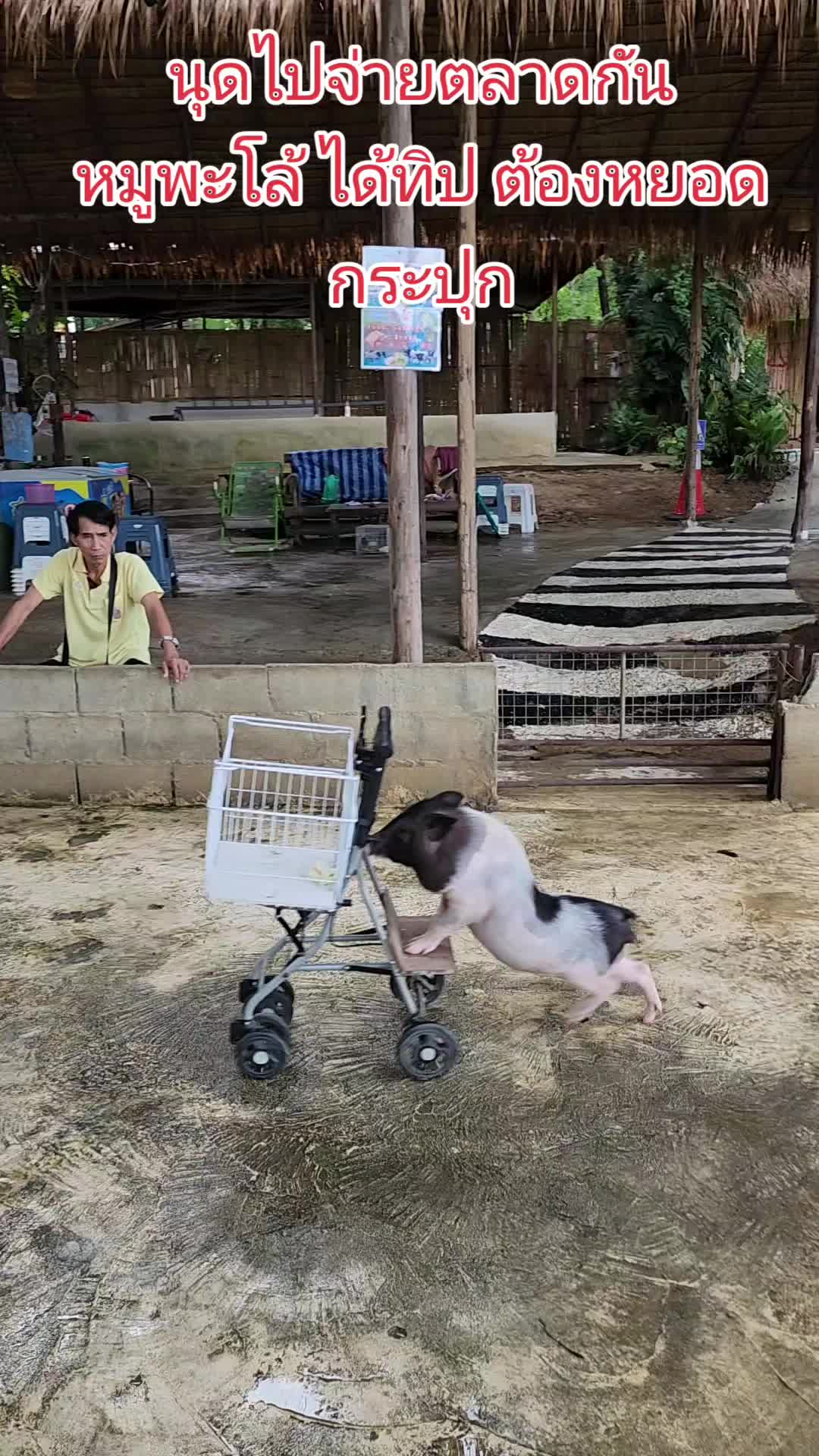 @คุณชายต้อง