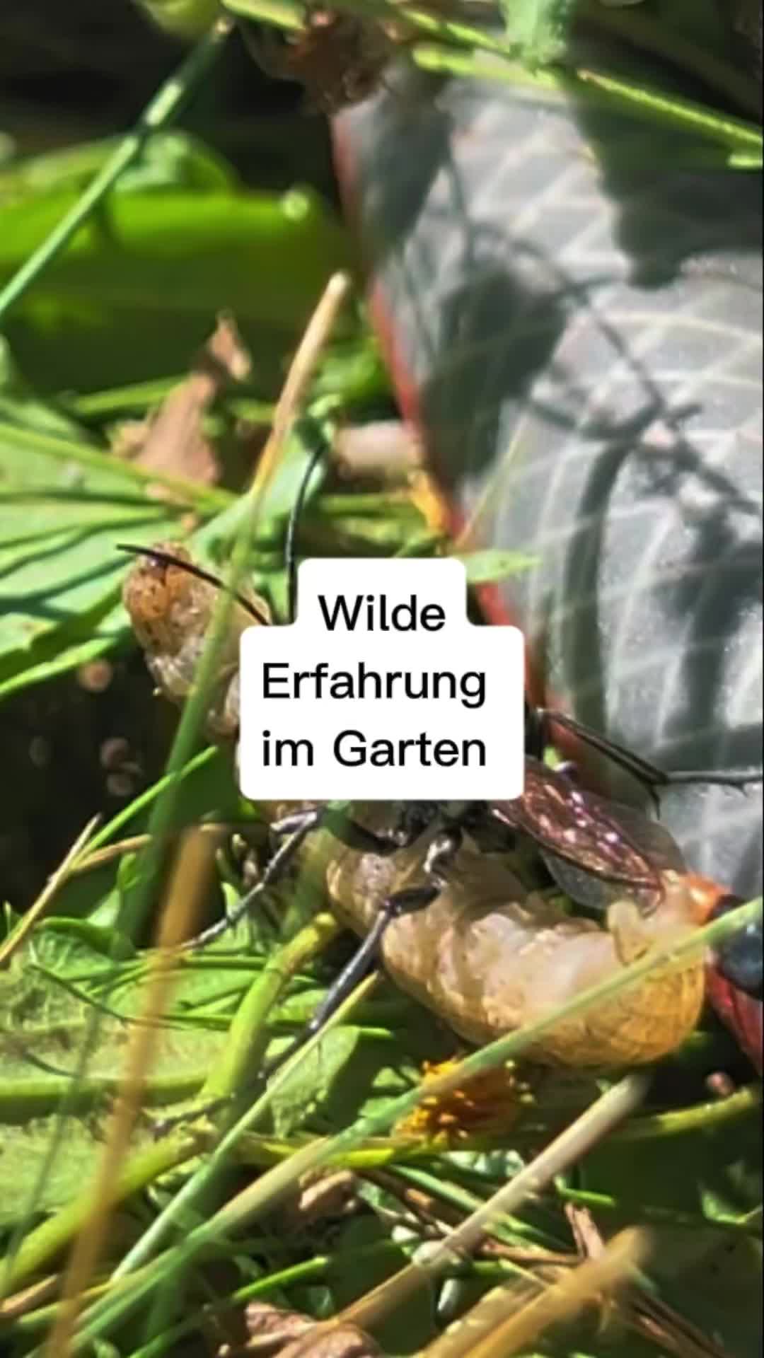 @ErnteExperte