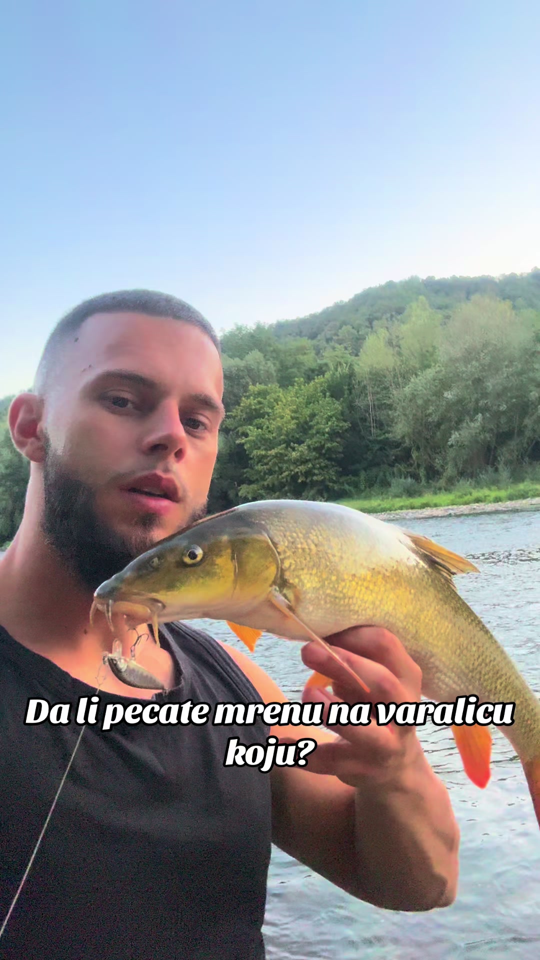 @Ismir Kvakic