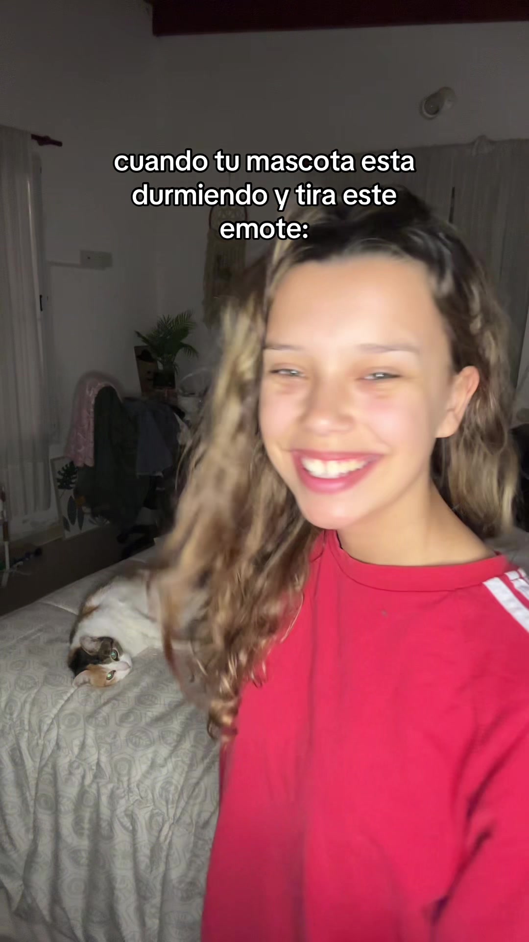 @caconeta