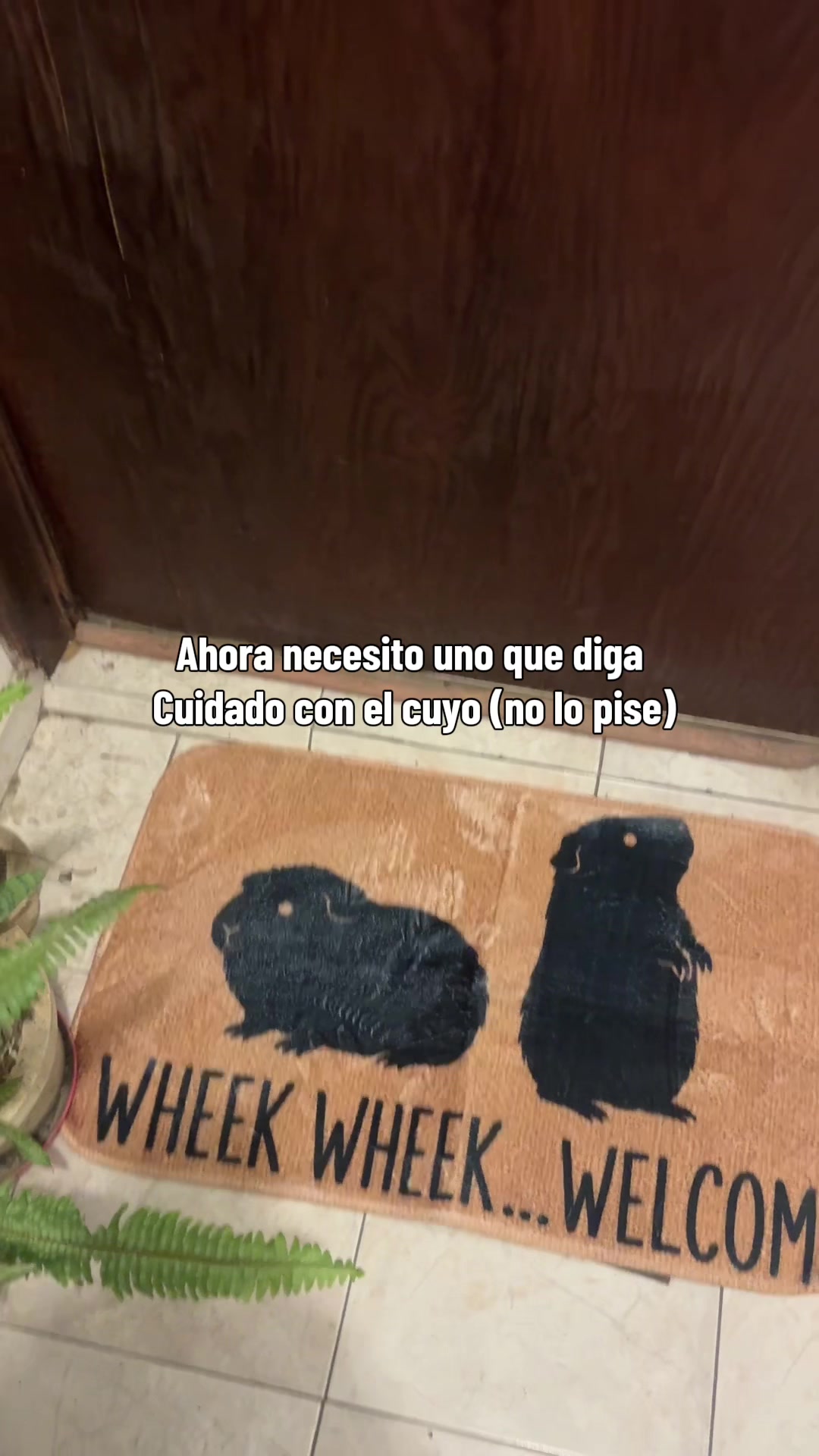 @Grecia Ramirez