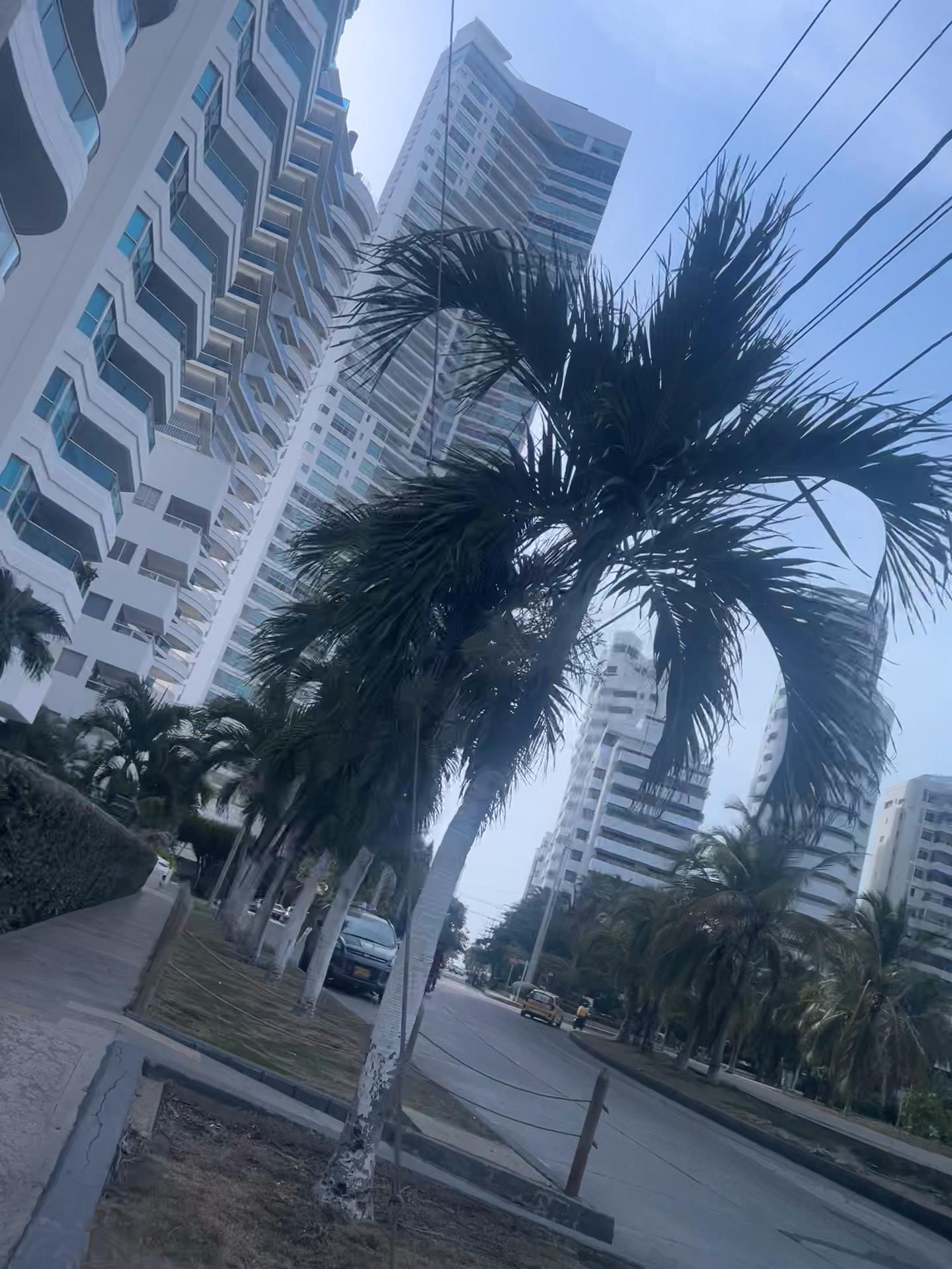 @𝐆𝐚𝐛𝐫𝐢𝐞𝐥𝐚 🦋
