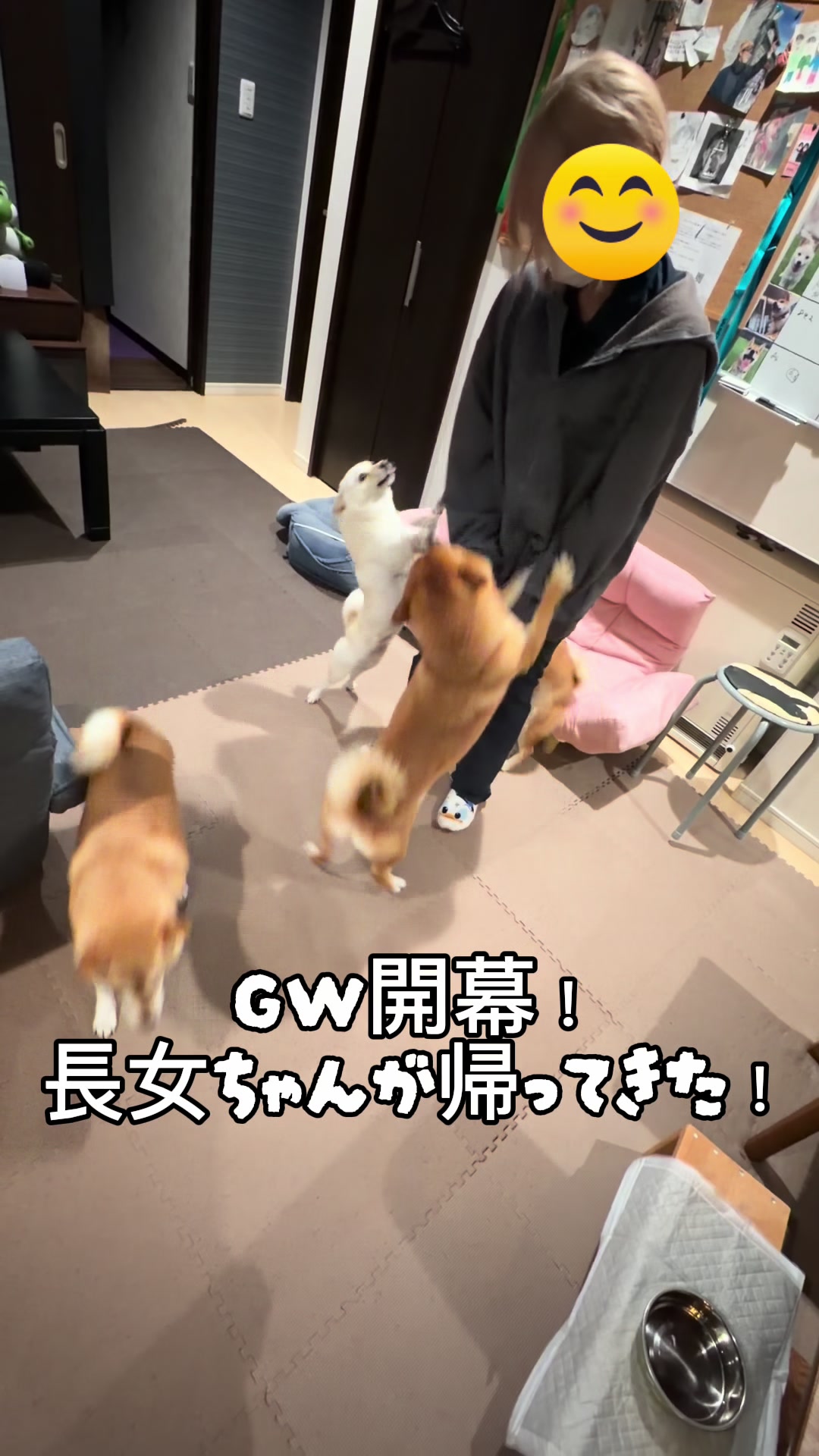 @こまめとしばーず🐾