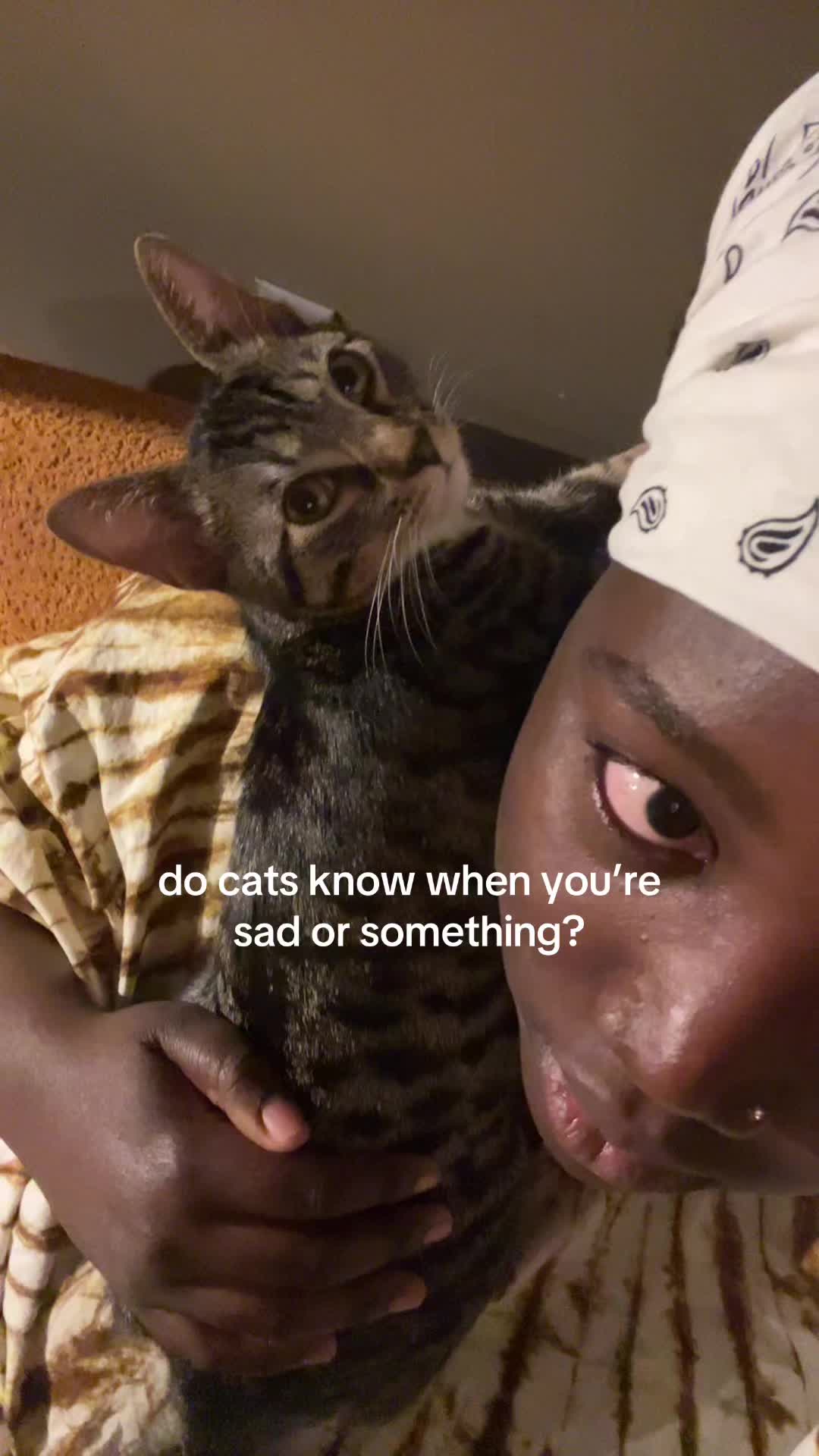 @cyn ⋆˚꩜｡⋆