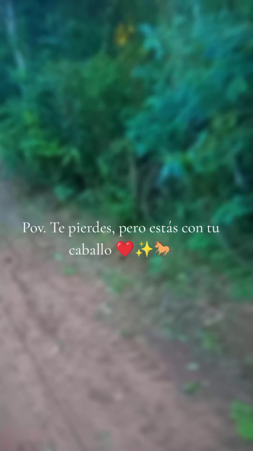 @Deisy💜
