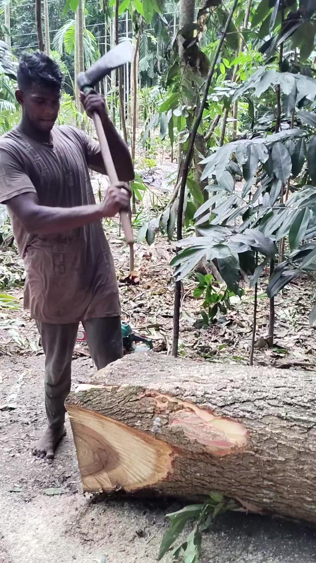 @যশোরের পোলা