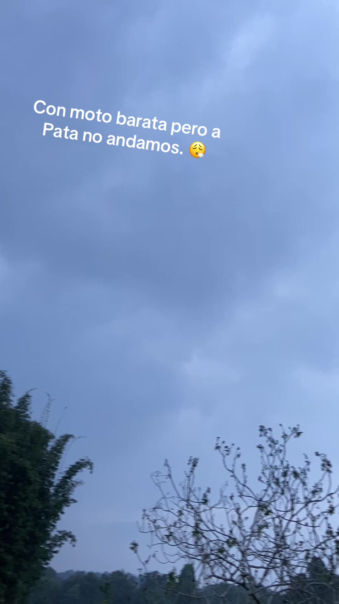 @la Azulita 🚀🥷🏼