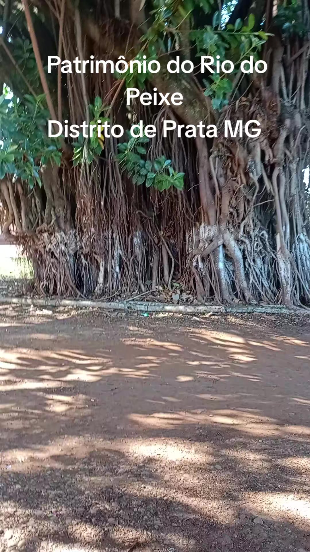 @Adriana Aparecida Si