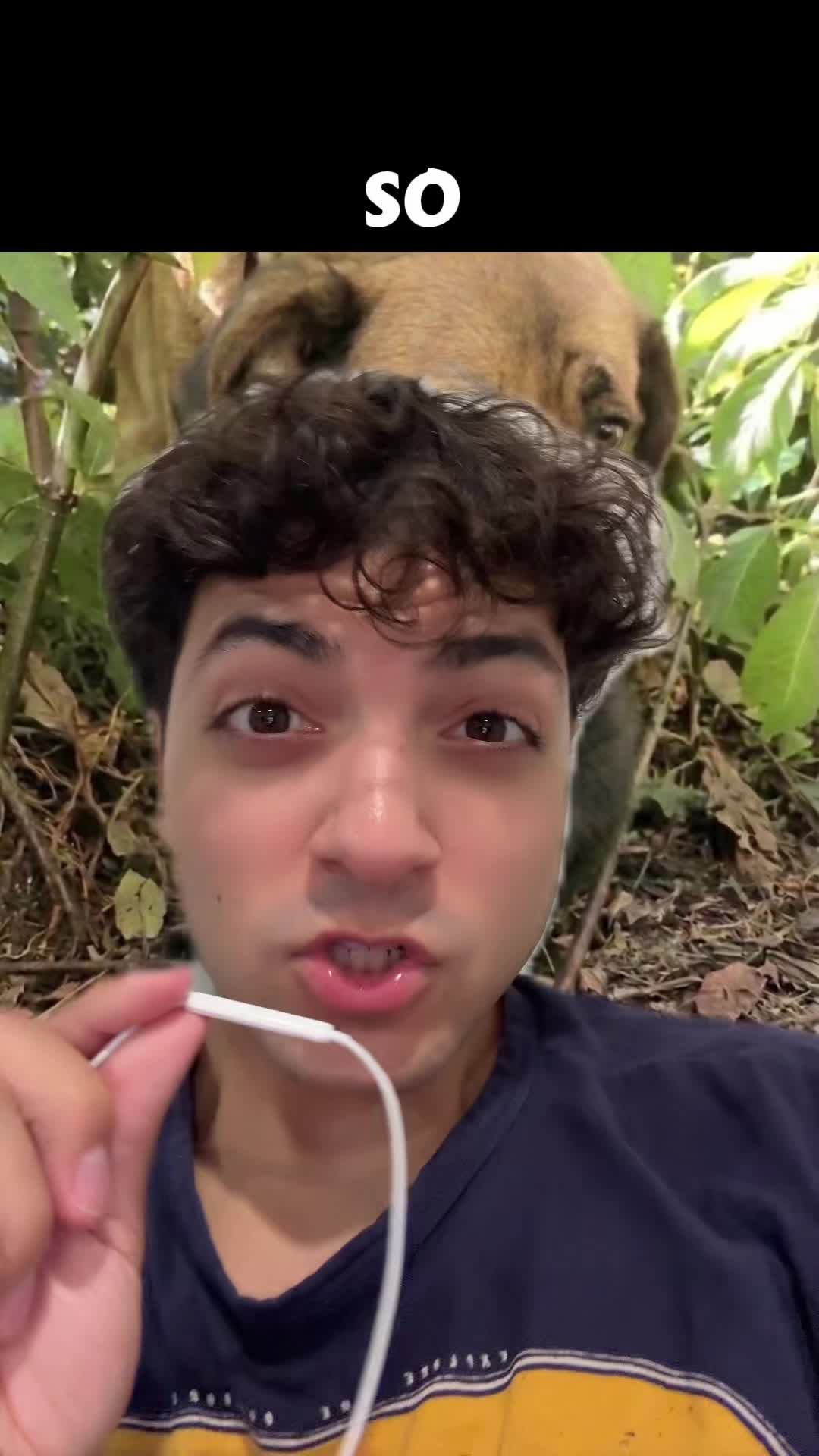 @Sbladn