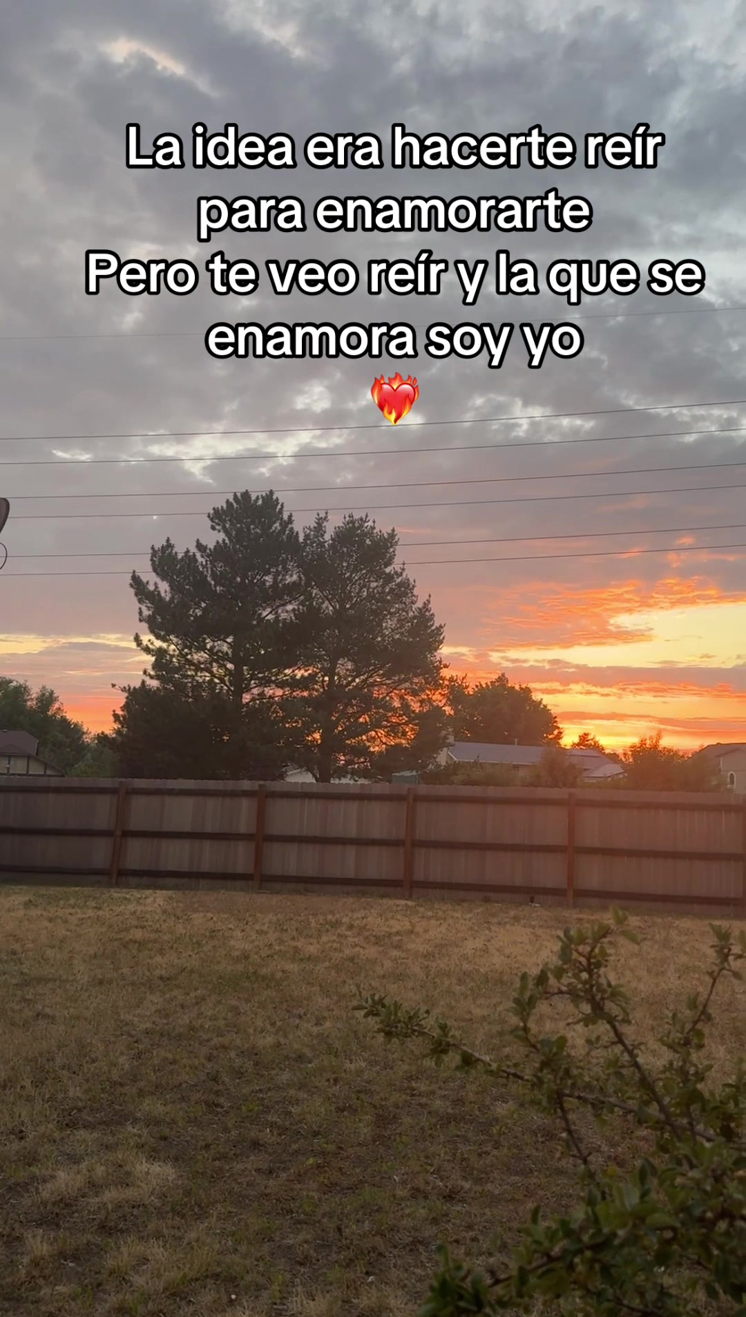 @Vicky