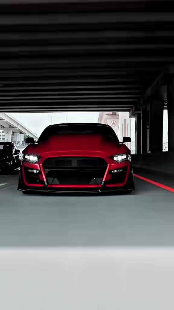 @TopTierMustang