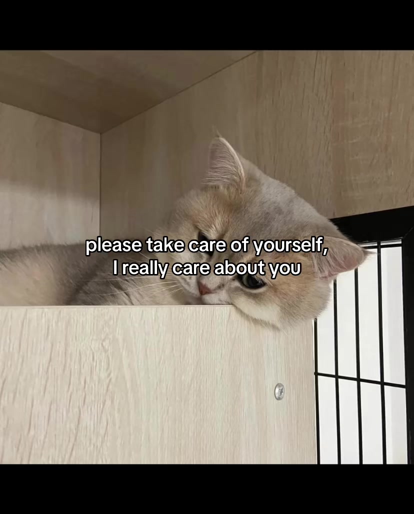 @deep.meow
