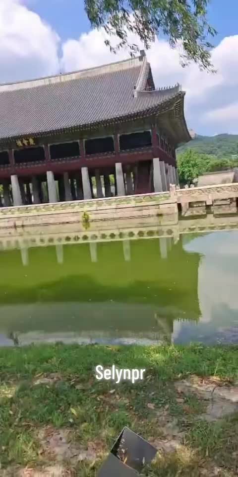 @Selynpr-KOREA🫶