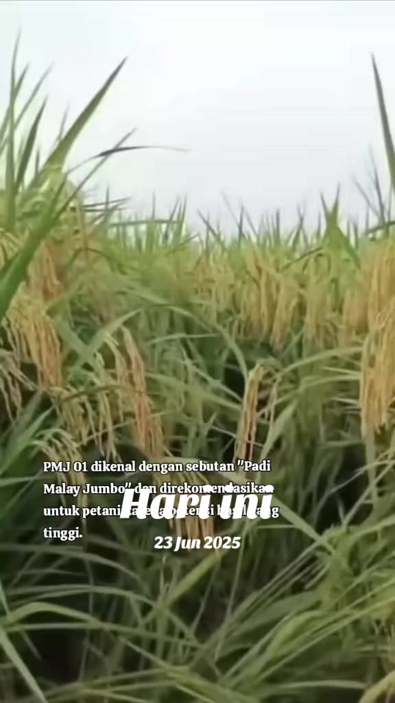 @PT. BHD INDONESIA