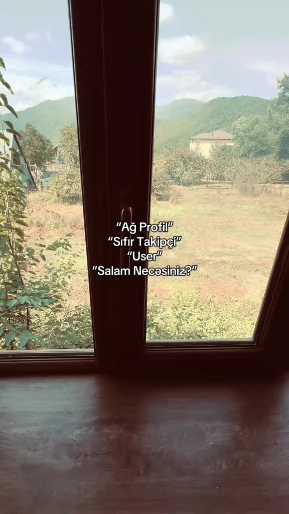 @Soltanows⚡️