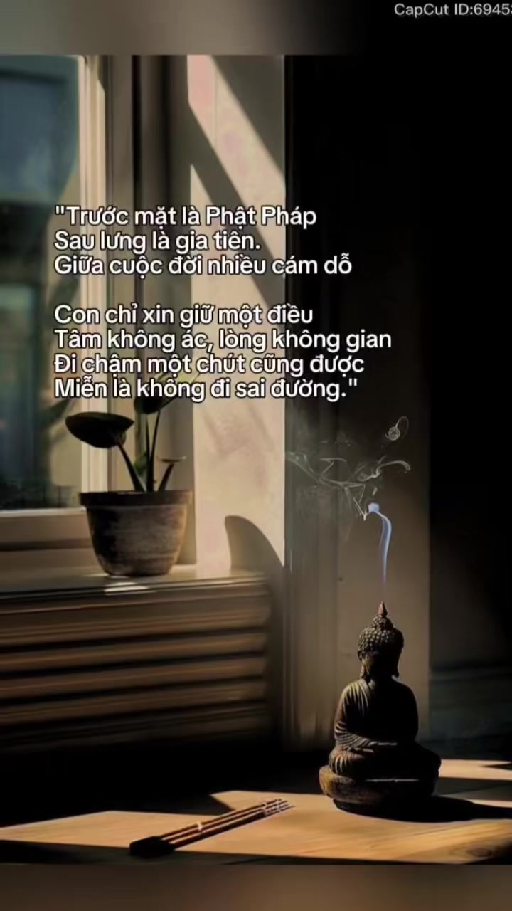 @Mậu Dần 1998