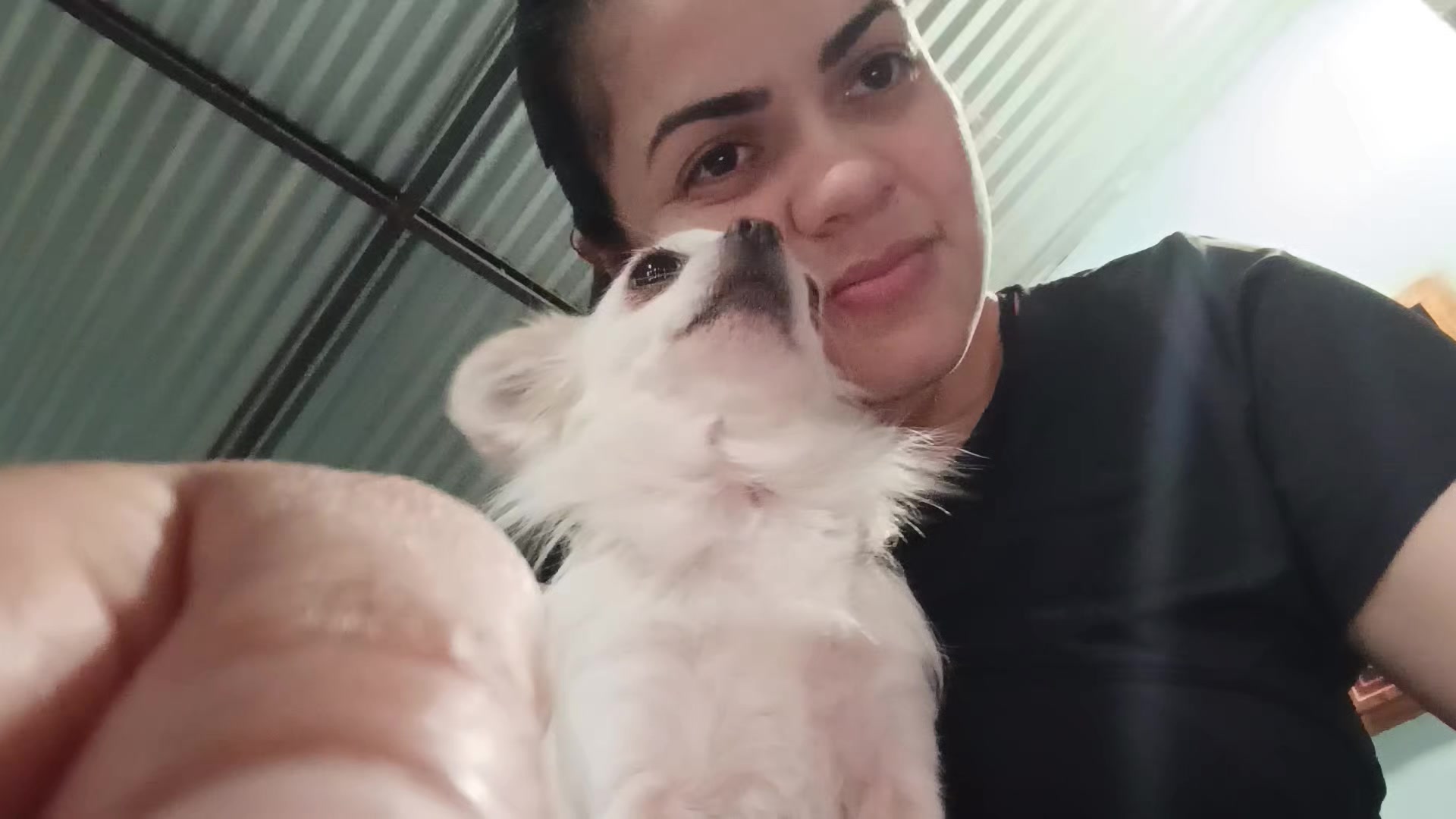 @Belén Stelatto