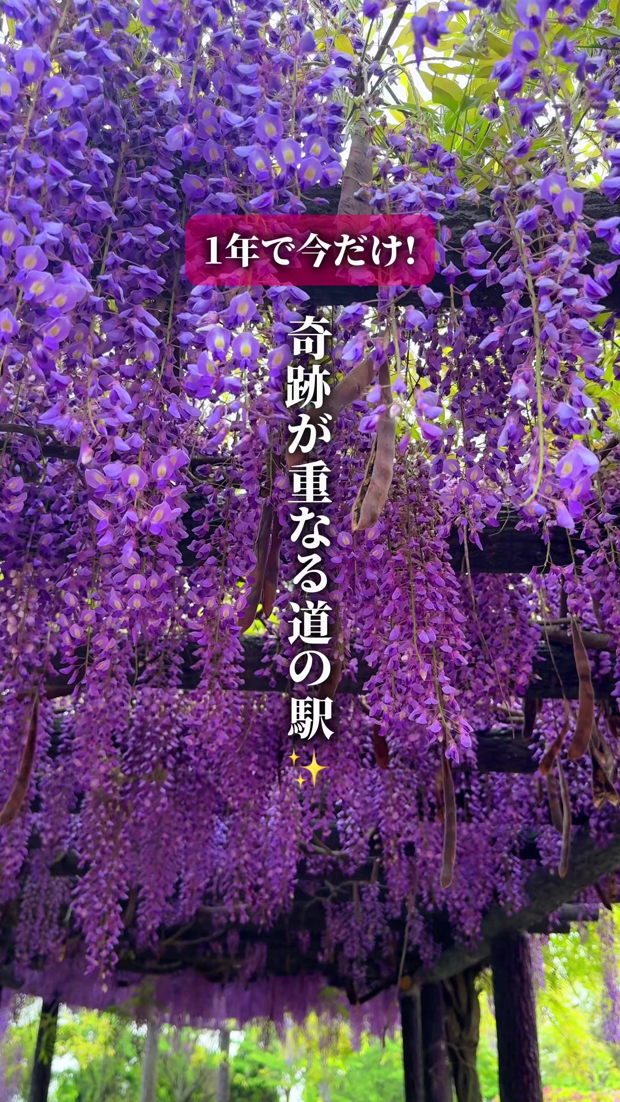 @ひろと / 大阪発！関西トレンド独占旅🔥