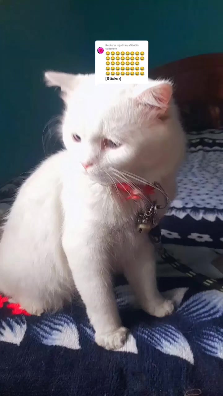 @பேப்பர் ஐடி 248 🌹1