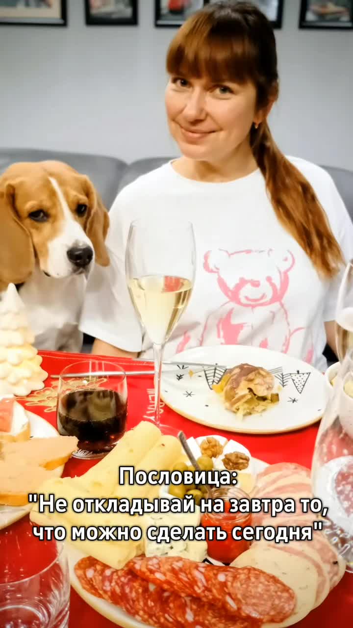 @Бигль Сэм и его семья.
