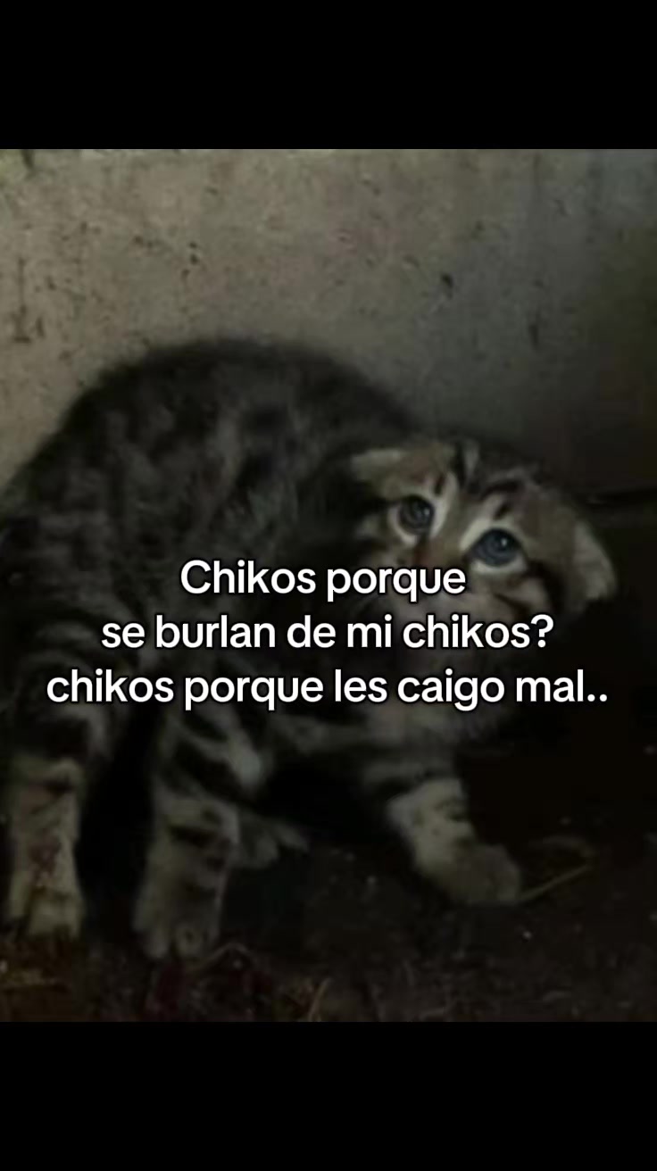 @Fracasada