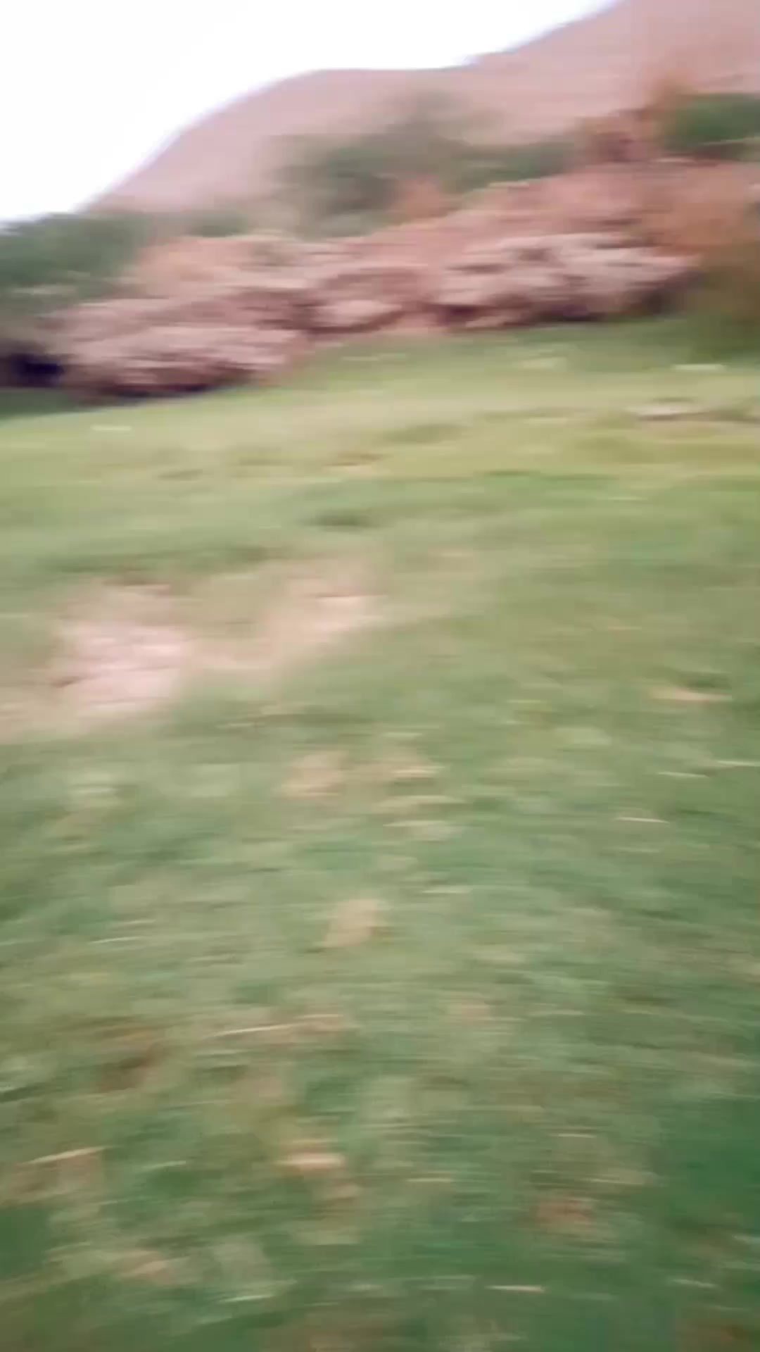 @𝐀𝐳𝐢𝐳