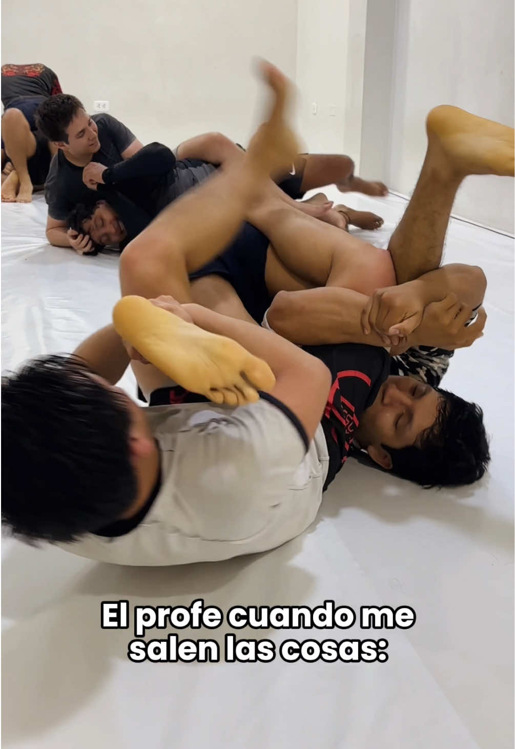 @El Culto Jiu - Jitsu