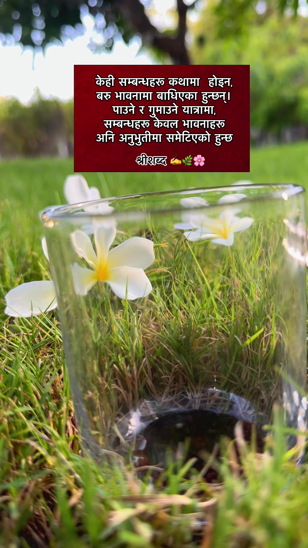 @🌿श्रीशब्द….✍️🕊️🍁🍂