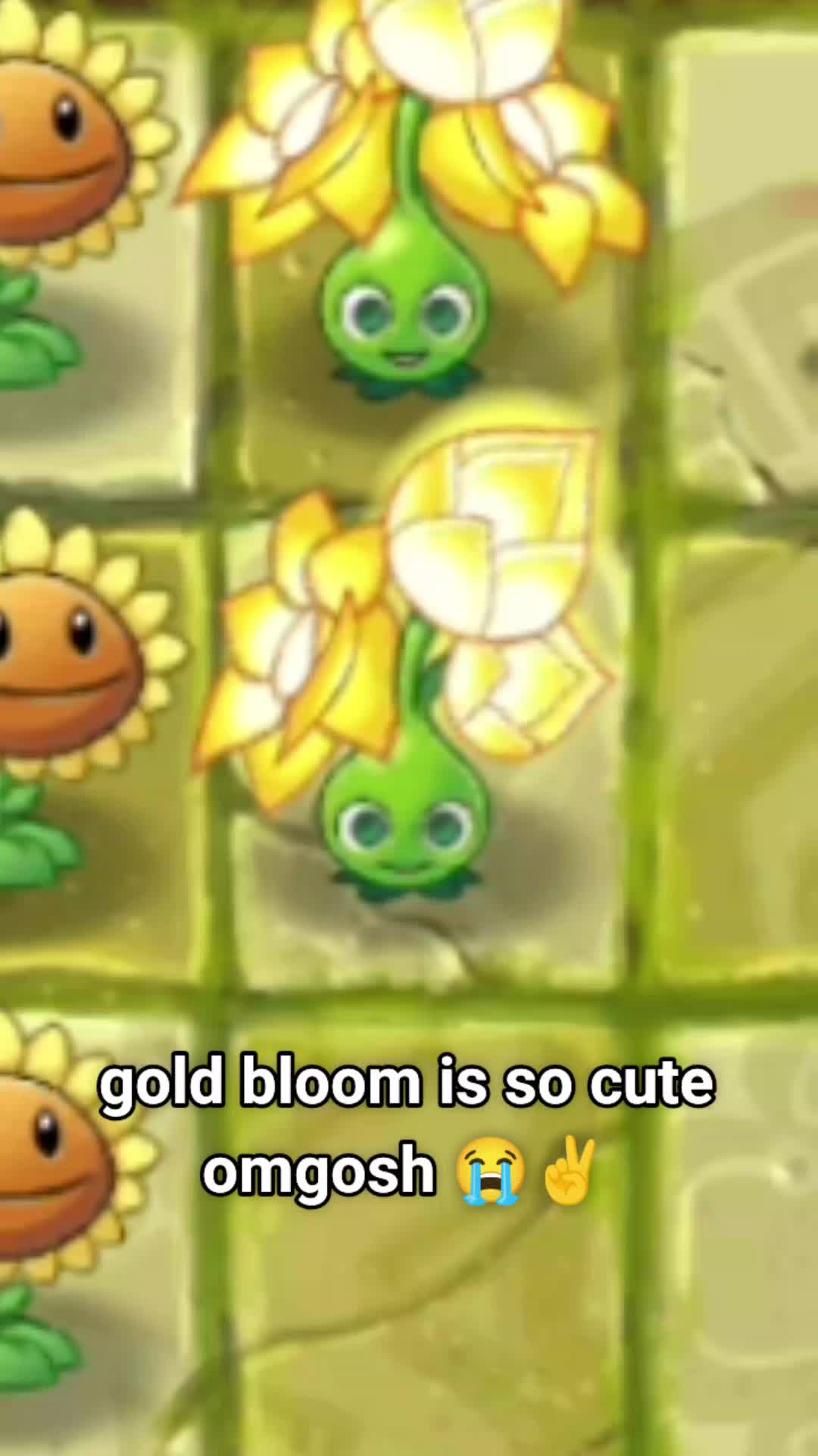 @PvZHealsMe